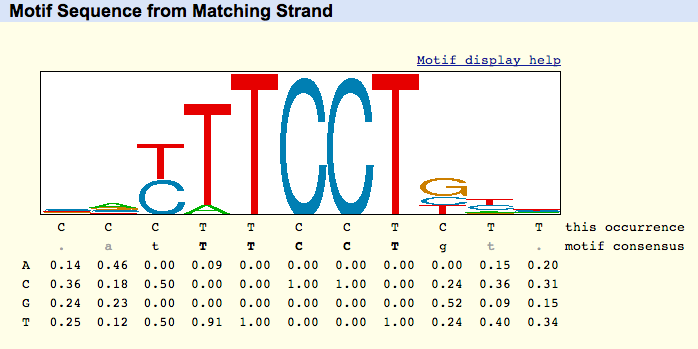 Motif example