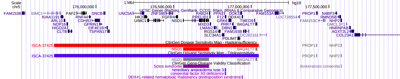 Example of three new ClinGen Composite tracks