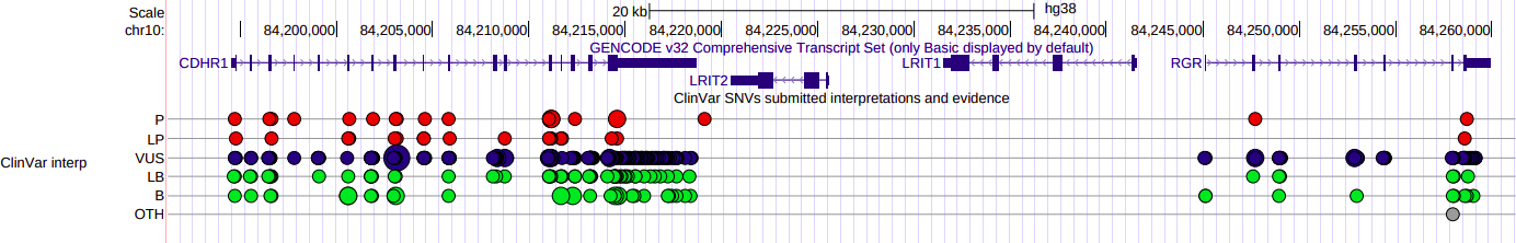 ClinVar Interpretations track with bead graph display.