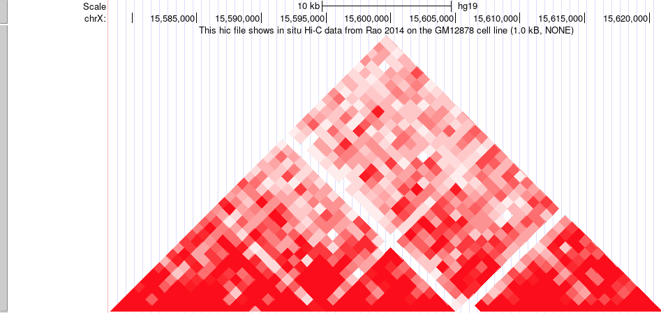 Ex hic image from track hub