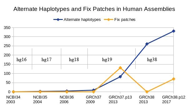 Patches increase