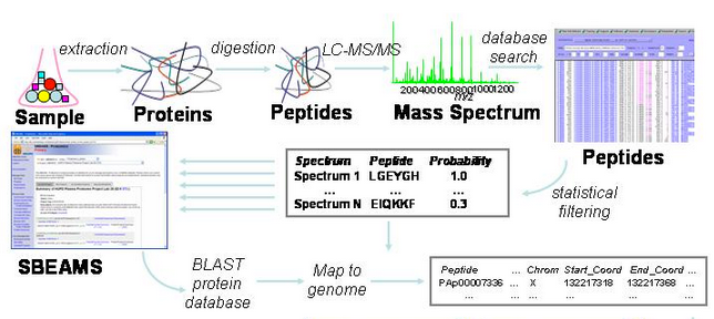 PeptideAtlas Methods