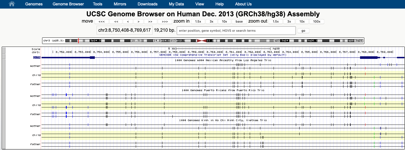 3 VCF Phased Trio tracks along with the GENCODE 
v32 genes from the Human/GRCh38 assembly. Each of two diploid haplotypes for each individual 
in a trio is drawn as a black lane, with snps as vertical ticks on the haplotype they fall on. 
Ticks are shaded blue,red,green or black according to their predicted functional effect.